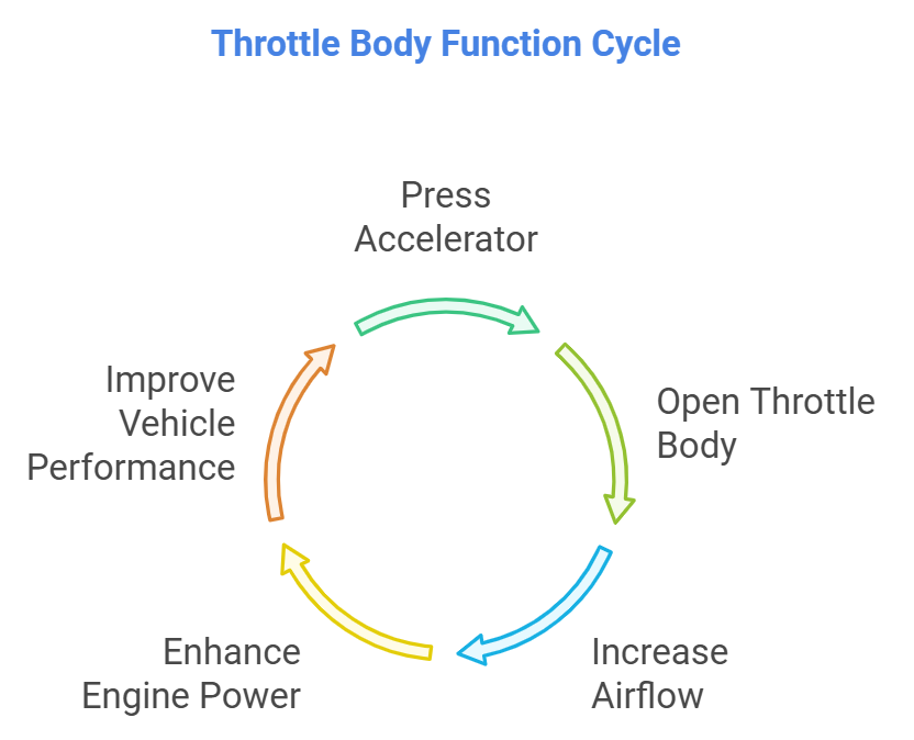 Throttle Body Function Cycle.jpg